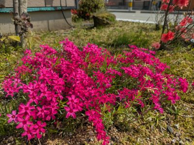 沢山のご来場、ありがとうございました♪ | 新築